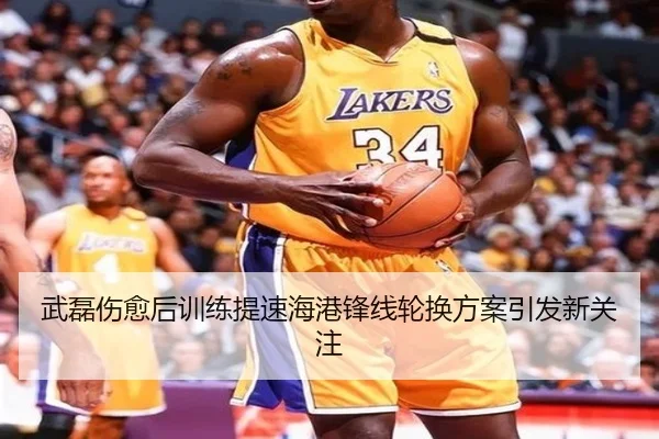 武磊伤愈后训练提速海港锋线轮换方案引发新关注